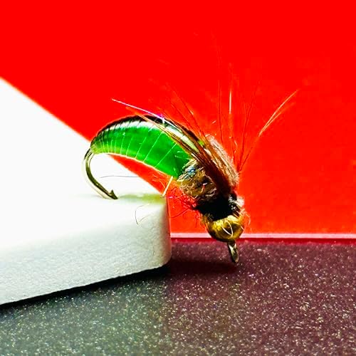 10Pc Wet Flies Bait Fly Fishing Flies for Bass Trout Pike Salmon Brass Head Caddis Nymph Handmade Fishing Bait Artificial Insect Fishing Lure - Image 4