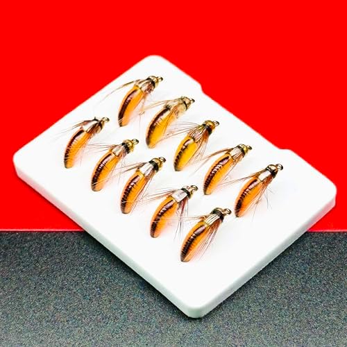 10Pc Wet Flies Bait Fly Fishing Flies for Bass Trout Pike Salmon Brass Head Caddis Nymph Handmade Fishing Bait Artificial Insect Fishing Lure - Image 6
