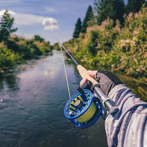 Raprance Fly Fishing Rod with Tube, 4-Sections, Medium Fast Action Freshwater Fly Rod, IM8 Carbon Fiber - Image 3