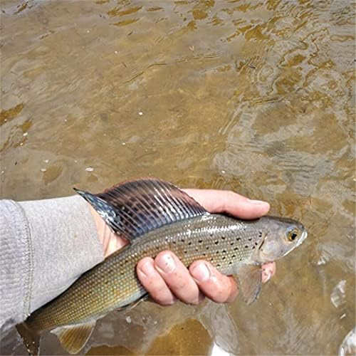 OutdoorFishing Fly Fishing Flies Kit Fly Assortment Trout Bass Fishing with Fly Box, 33/48/72/100/114/148pcs with Dry/Wet Flies, Nymphs, Streamers, Popper - Image 4