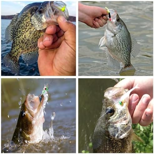 Crappie Jig Heads Kit, 75 Pieces Fishing Jig Head Hooks for Fishing Crappie Bass Trout Walleye 1/8oz 1/16oz 1/32oz - Image 7