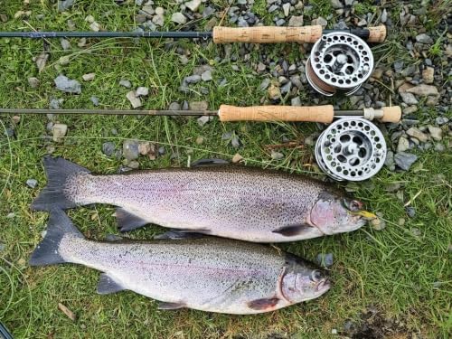 TURMAX MK2 Fly Fishing Reel Combo, CNC Aluminum Large Arbor Fly Reel with 2 Extra Spools and Storage Case, Sealed Carbon Drag, Left/Right Retrieve, 5/6 and 7/8 Line Weight Options - Image 6