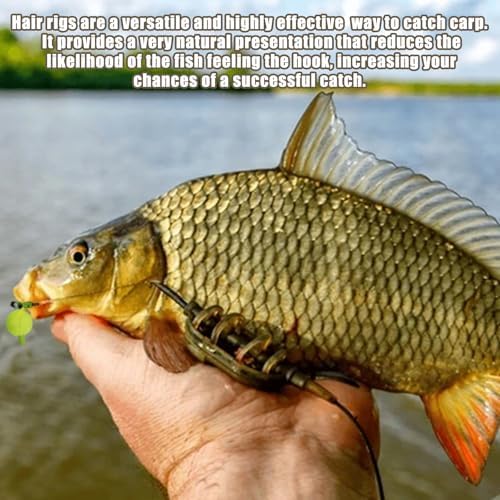 Carp Fishing Hair Rigs Carp Fishing Gear with Braided Thread Line, Carp Fishing Hooks Size 2/4/6/8, Swivel Snaps and Artificial Carp Boilie Eggs - Image 5