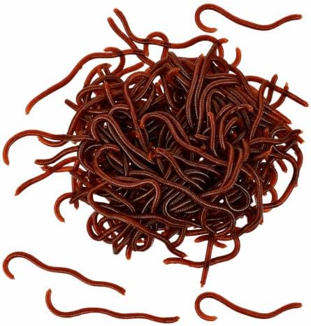50PCS 3.35'' Fake Worms, Soft Lure Trout Worm Earthworm by Unknown