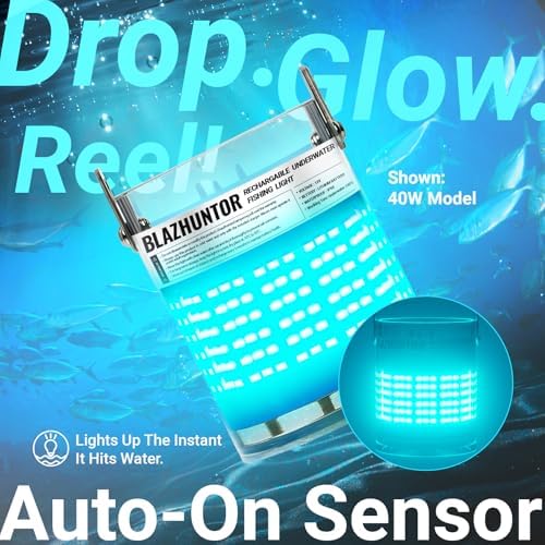 Rechargeable Underwater Fishing Light, 40W-160W, 4 Colors - Image 2