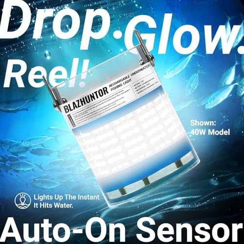 Rechargeable Underwater Fishing Light, 40W-160W, 4 Colors - Image 2