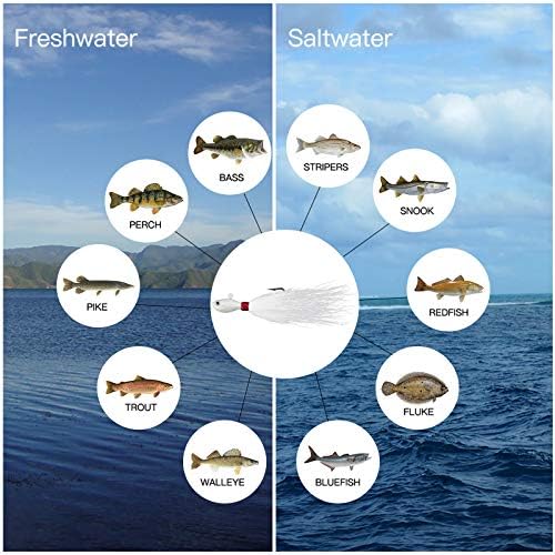 Dr.Fish 3 Pack Bucktail Jig Lure Hair Jig Saltwater Freshwater Lures Surf Fishing Bass Flounder Striper Bluefish Halibut Redfish - Image 6