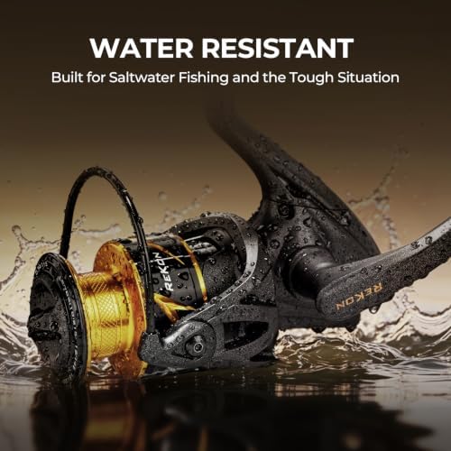 KastKing ReKon Saltwater Spinning Fishing Reel – Powerful for Big Game - Image 4