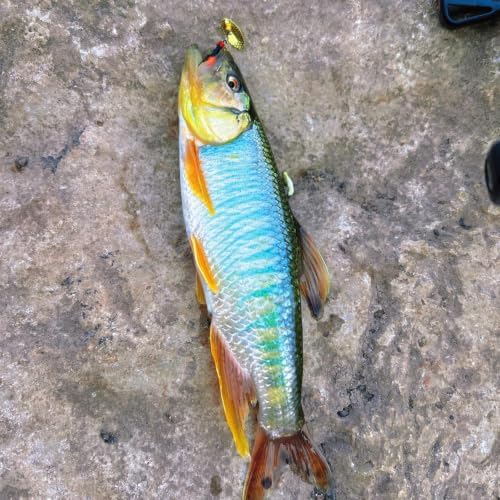 Fly Fishing Lures Fly Fishing Flies Wet Fishing Flies Fishing Lures - Image 5
