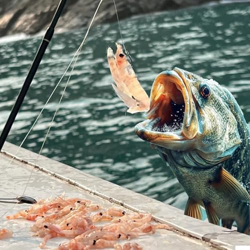 Live Shrimp Hook Set,Carbon Steel Barbed Fishing Hooks Freshwater Saltwater,Shrimp Lure,Bass Carp Catfish Bait - Image 3