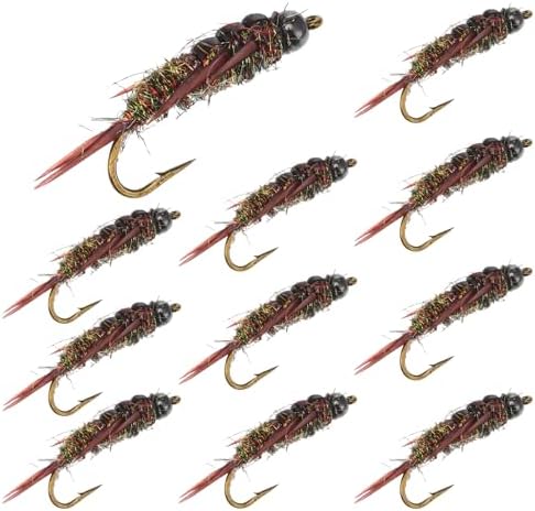 10 Pcs Fly Fishing Flies Kit, Stonefly Nymph Baits for Trout Fishing Flies, Fly Nymphs Assortment Kit, Artificial Insect Bait Lure by Unknown