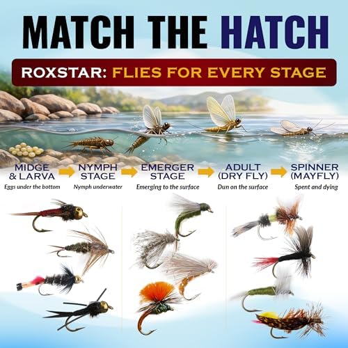 RoxStar Fishing Fly Shop, Premium Stimulator Dry Fly Assortment, Emerger Hatch Pack, Nymph Fly Hatch Pack for Trout and Bass - Image 4