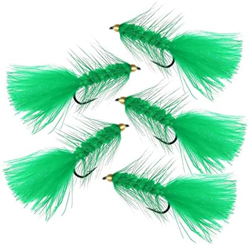 10Pcs Wooly Bugger Fly Fishing Flies for Trout, Bass and Salmon-Streamer Assortment Wet Flies by Qievcrme