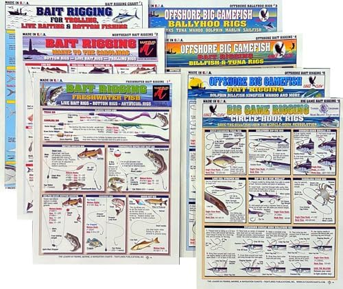 Bait Rigging Chart Set - Waterproof Quick Reference Fishing Guide - (Freshwater, Saltwater, and Big Game Rigs) - Double-Sided & Easy to Read - Great Gift for Beginners by OutdoorCharts