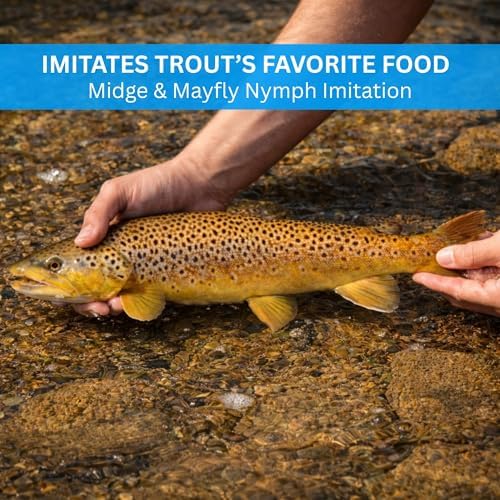 Rainbow Warrior Fly Nymph 12 Pack – Sizes 14, 16, 18 – Hand-Tied Trout Flies for Fly Fishing Kits and Fly Boxes, Wet Flies for Euro Nymphing, Tungsten Bead, Bass and Panfish - Image 5