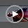 9KM DWLIFE Bucktail Jigs, Handmade Hair Lures for Bass & Saltwater Fishing - Image 7