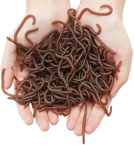 100Pcs Fake Worms Fishing Worms Soft Plastic Fishing Lures Bait Lifelike Fake Bloodworm for Freshwater Bass by Hukiwow