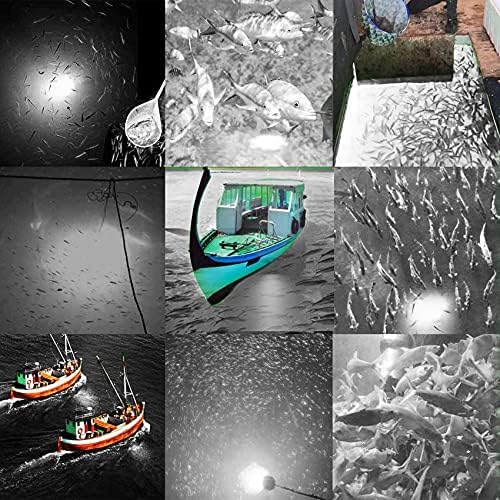 SAMDO IP68 12V LED Underwater Fishing Light 1080 Lumens Fish Attracting Light, Night Fishing Light 10.8W - Image 5