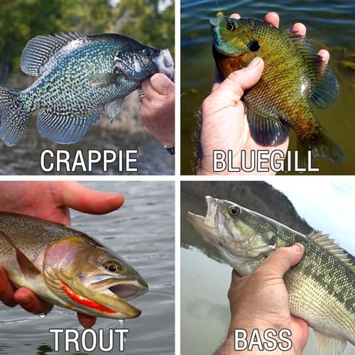 135 PCS Crappie Lures Kit - Crappie Jig Heads Fishing Hooks for Soft Plastic Lures for Trout Bass Walleye Bluegill Perch Catfish - Image 6