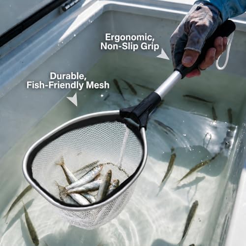 BasicGear Pro Floating Baitwell Net, 10" Hoop, 17"/24"/24"-31", Live Bait - Image 2