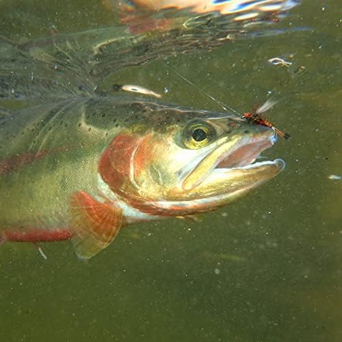 Goture Fly Fishing Flies Assortment Kit, Dry & Wet Flies Streamers Nymphs - Image 6