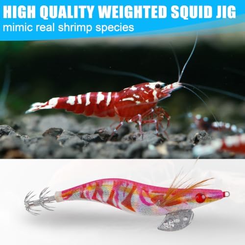 Squid Jig Saltwater Glow Squid Lures, 10pcs Luminous Cuttlefish Sleeve Fishing Jigs Shrimp Prawn Lures Atrificial 3D Fluorescent Squid Jigs Hard Night Fishing Bait Octopus Lure - Image 4