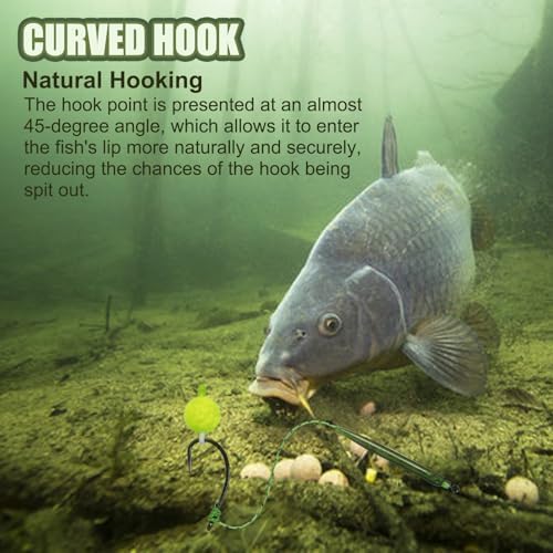 Carp Fishing Hair Rigs Carp Fishing Gear with Braided Thread Line, Carp Fishing Hooks Size 2/4/6/8, Swivel Snaps and Artificial Carp Boilie Eggs - Image 2
