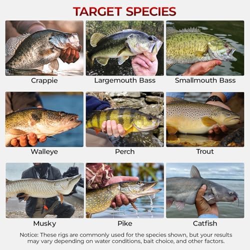 MadBite by KastKing Compact Fishing Tackle Kit for Bass Trout Panfish - Image 6
