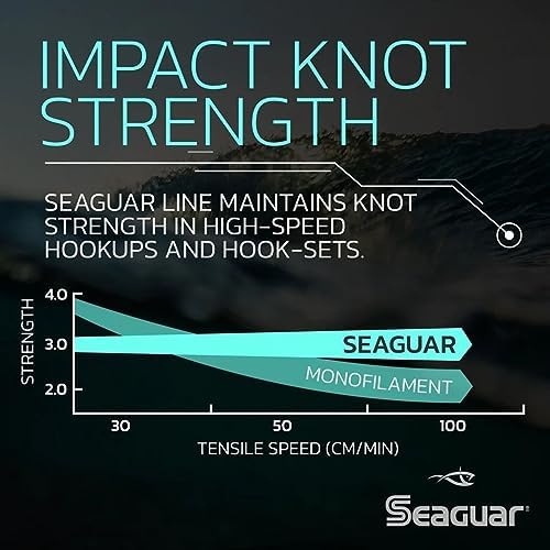 Seaguar Blue Label Fishing Leader Line for Saltwater, 100% Fluorocarbon, Clear, Multiple Sizes - Image 4