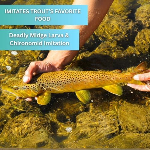 Zebra Midges for Fly Fishing 12 Pack - Hook Size 18-22, Fishing Accessories, Trout Flies, Wet Flies, Silver Bead Black, Gold Red, Tungsten Euro Nymph (Assorted, 22) - Image 5