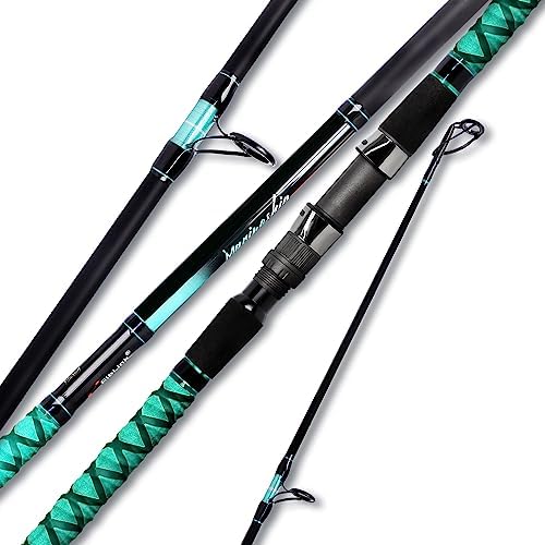 Fiblink Surf Fishing Rod Portable Travel Surf Spinning Rod 2 Piece/3 Piece/4 Piece Carbon Fiber Saltwater Fishing Rod 9'/10'/12'/13'/15' by Fiblink