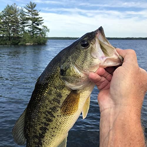 MadBite by KastKing Ned Rig Jig Heads for Soft Fishing Lure Kits - Image 6