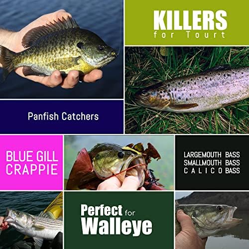 Crappie Tube Lures Jig Heads Soft Plastic Baits Worms Kit - Image 2