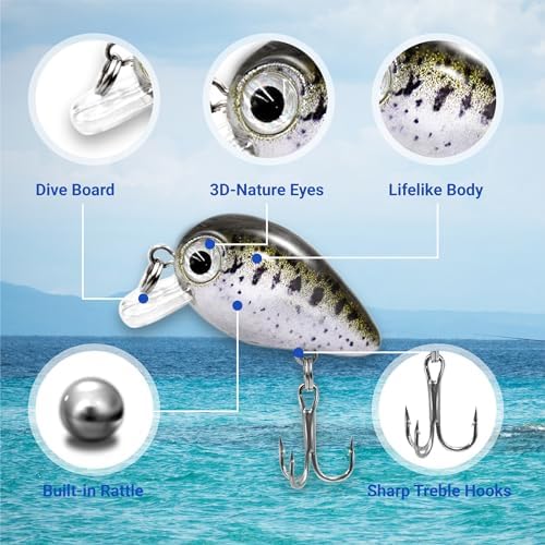5PCS Micro Crankbait Fishing Lures Set, Lifelike 3D Eyes Hard Bait with Sharp Treble Hooks, Freshwater Saltwater Lures for Bass Trout Perch Walleye Pike, Tackle Box Included - Image 3