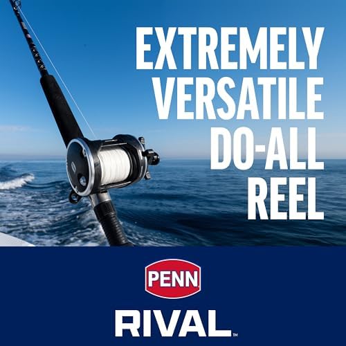 PENN Rival Level Wind Conventional Fishing Reel - Image 2