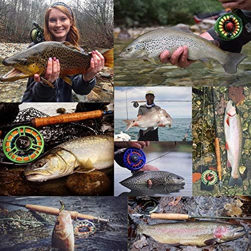Maxcatch Carbon Fiber Fly Fishing Rod Travel Tube(Case) with Aluminum Cap – fits Any 9ft/10ft 4pcs Fly Rod - Image 6