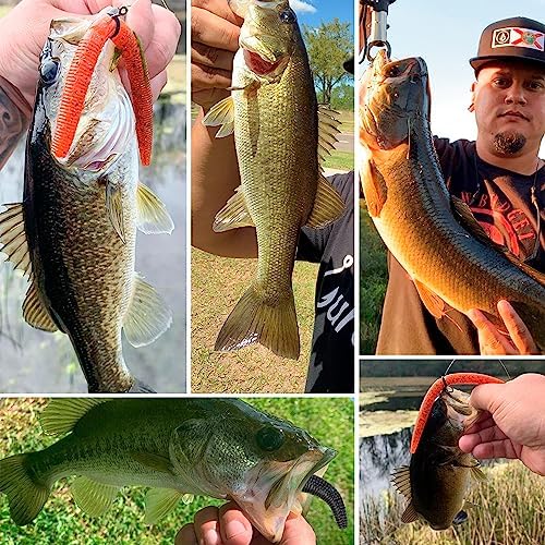 4"/5" Senko Worms Kit, Salt Impregnated Soft Plastic Lures - Image 2