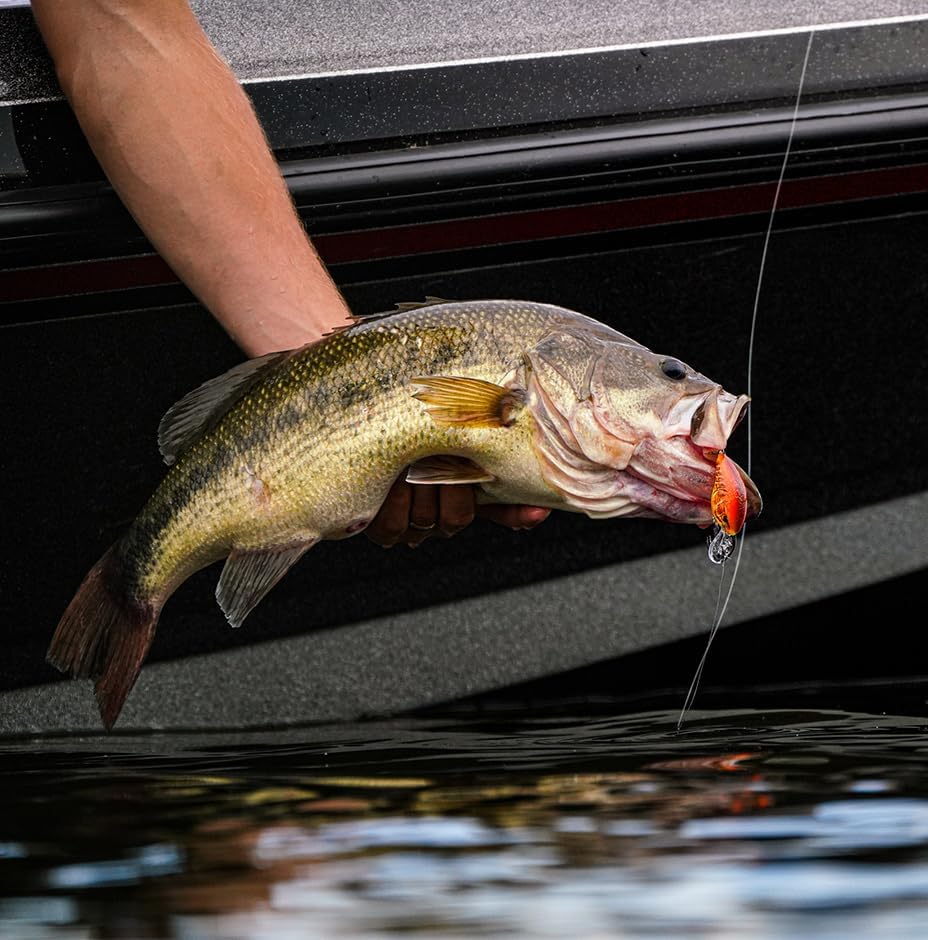 Rapala Dives-to 12 - Image 6