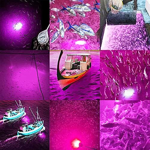 SAMDO IP68 12V LED Underwater Fishing Light 1080 Lumens Fish Attracting Light, Night Fishing Light 10.8W - Image 3