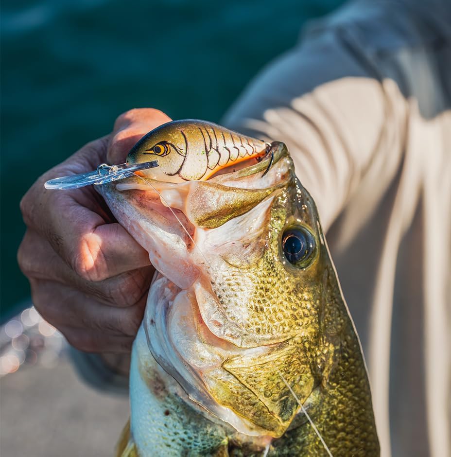 Rapala Dives-to 12 - Image 4