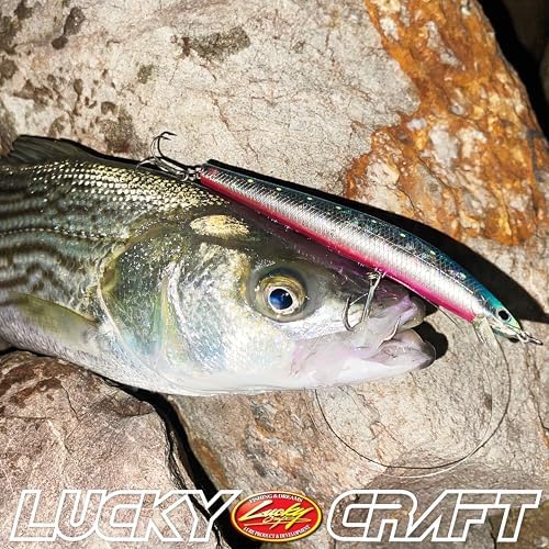 Lucky Craft FlashMinnow 125 YAWARA Saltwater Fishing Lure, Jerkbait for Halibut and Sea Bass, Long Casting Fishing Gear, Slow Sinking 5in 0.7oz, Tackle Box and Fish Accessories - Image 7