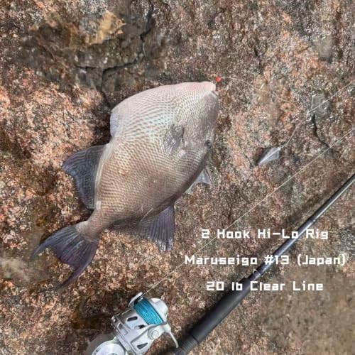 Hi-Lo Rig – Pre-Tied Hooks, PE Line, 4/6 Pack, #13/#16/#20 - Image 6