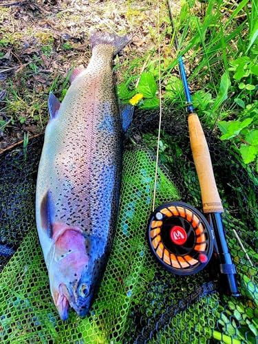 Maxcatch Extreme-X Fly Fishing Rod and Reel Combo, 3-8wt Complete Starter Fishing Outfit with Fly Box, Flies, Rod Clip Holder, Rod Case, Extra Tip Section - Image 7