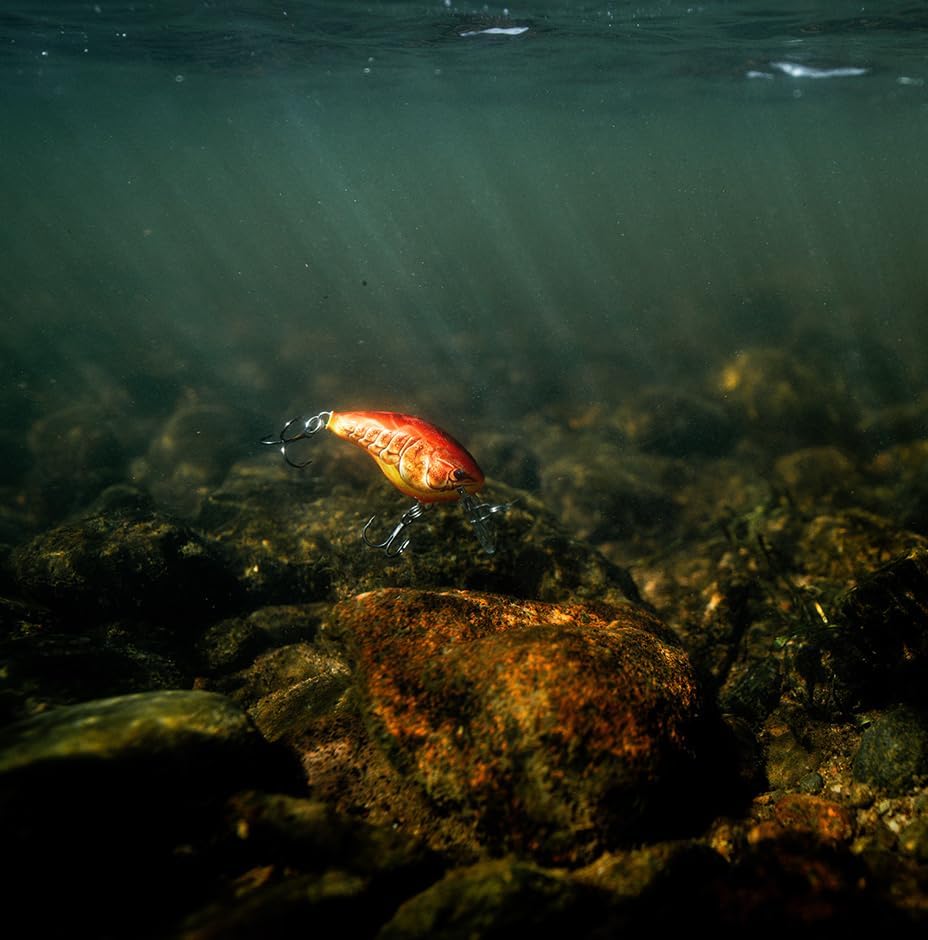 Rapala Dives-to 12 - Image 3