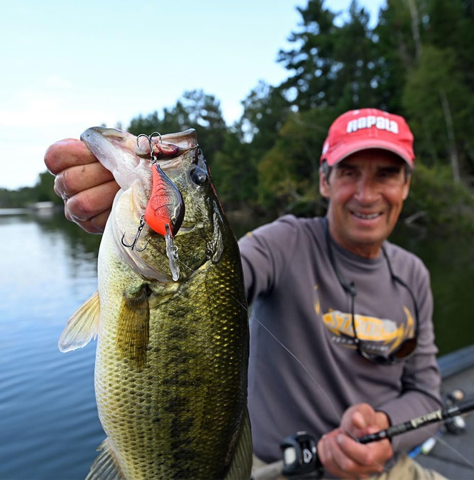 Rapala Dives-to 12 - Image 2