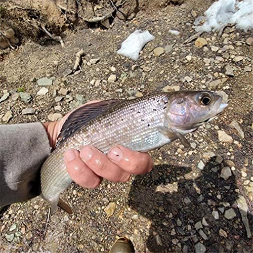 24Pcs Fly Fishing Flies Trout Lures Fishing Tackle Fly Fishing Flies with Boxed Trout Bass Artificial Fish Bait - Image 6