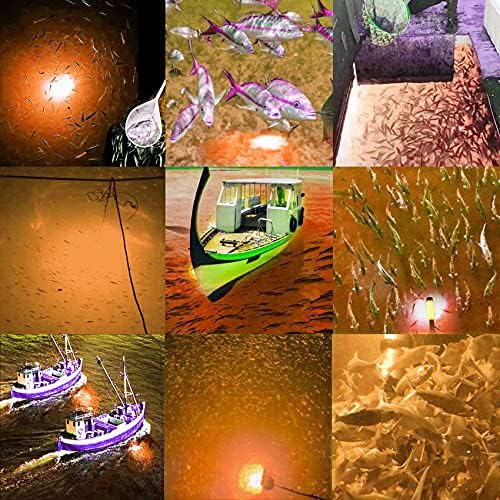SAMDO IP68 12V LED Underwater Fishing Light 1080 Lumens Fish Attracting Light, Night Fishing Light 10.8W - Image 4
