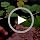 Fish Hook Remover Tool, Fishing Hook Quick Removal Descending Device, Fishing Gear Security Equipment Kits, Hook Extractor Accessories Detacher Tools with 4PCS Storage Tube - Image 7