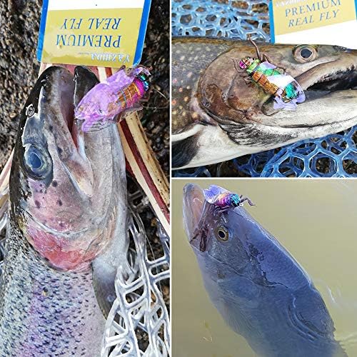 YZD Fly Fishing Flies Realistic Dry Wet Nymph Trout Flies Hand Tie Lures Kits 12/26/48 Pcs… - Image 7
