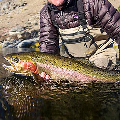 YZD Fly Fishing Big Trout Flies Kit Top 5 Steelhead Flies Flyfishing Gear Premium Wet Dry Flies Trout Lures Streamer Nymph Emerger Fishing Assorted Trout Flies Bass Salmon - Image 6